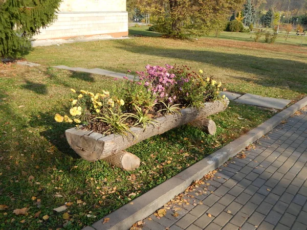 Peyzaj Bahçe park sanat