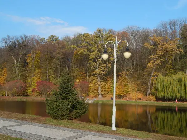 Landskapsplanering Trädgård Park Konst — Stockfoto