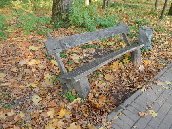 Giardino Paesaggistico Nell Arte Del Parco — Foto Stock