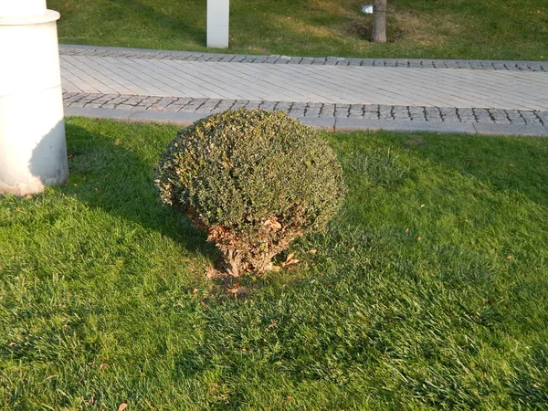 Jardim Paisagístico Arte Parque — Fotografia de Stock