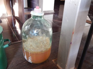 Ev yapımı üzüm şarap pişirme