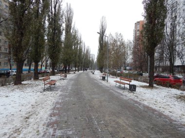 Kışın kar, ağaçlar ve Bitkiler Frost dokular