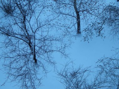 Şehir kış dokular sokakta kar