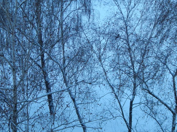 Miasto Śnieg Zimą Tekstury Ulicy — Zdjęcie stockowe