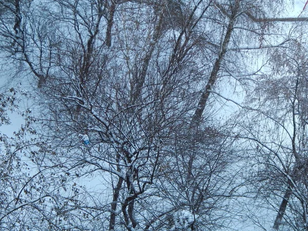 Город Заснежил Зимние Текстуры Улице — стоковое фото