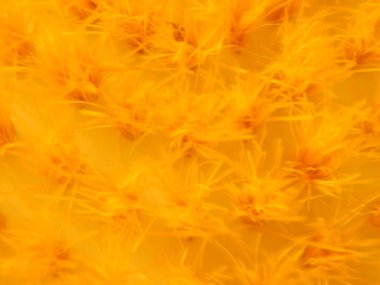 Makro çekim çeşitli doğal ve yapay doku nesneleri