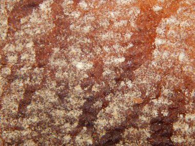 Makro çekim çeşitli doğal ve yapay doku nesneleri