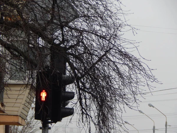 Znaki Drogowe Wskazujące Kierunek Ruchu Samochodów Pieszych — Zdjęcie stockowe