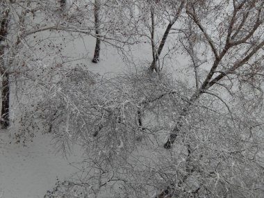 Doku kar sokak beyaz zemin üzerine düştü