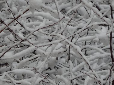 Doku kar sokak beyaz zemin üzerine düştü