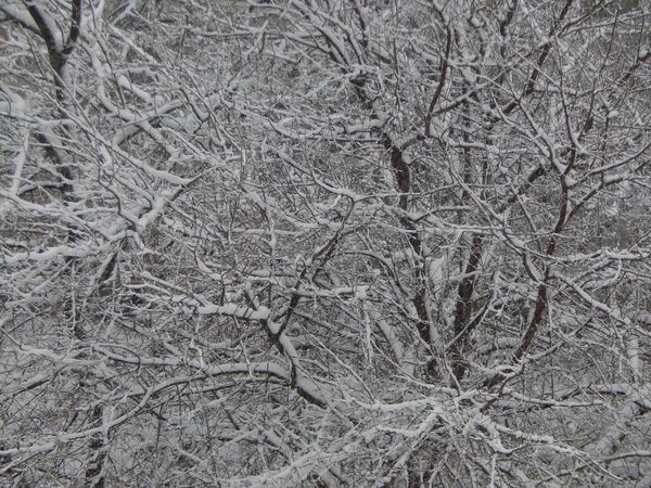 Текстура Снег Упал Улице Белый Фон — стоковое фото