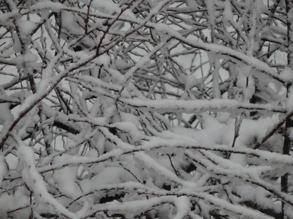 Textur Snö Föll Den Gatan Vit Bakgrunden — Stockfoto