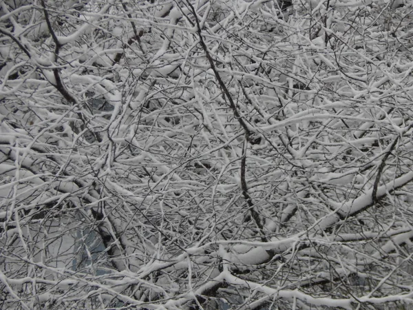 Textur Snö Föll Den Gatan Vit Bakgrunden — Stockfoto