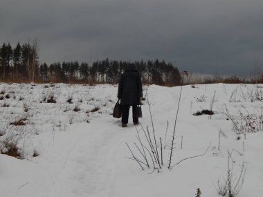 Kış orman, ağaçlar ve bitkiler karda