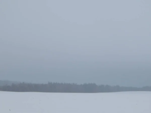 Panorama Campo Invierno Cubierto Nieve Naturaleza — Foto de Stock