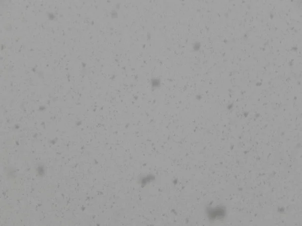 背景上飘落的雪 — 图库照片