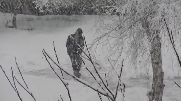 Man Verwijdert Sneeuw Sneeuw — Stockvideo