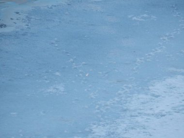 Kış su doku arka plan, doğa