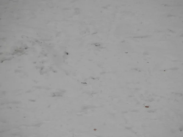 Texturen Snö Täckte Marken Och Asfalt — Stockfoto