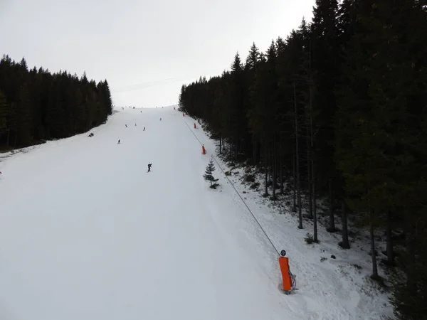 Jasna Slovakya Ocak 2014 Kayak Merkezi Insanlar — Stok fotoğraf