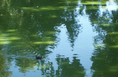 Kuş kafesi açık hava parkta