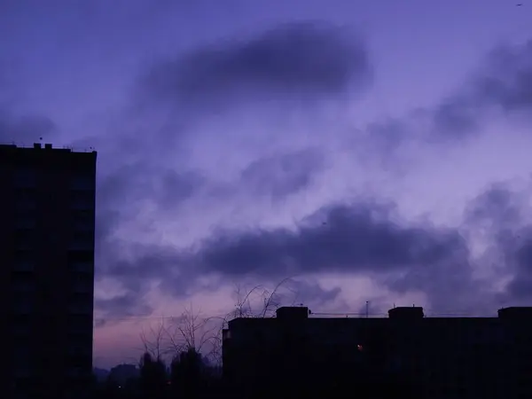 天空中的城市黎明鸟儿在飞翔 — 图库照片