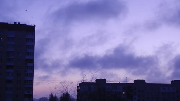 Amanecer Ciudad Cielo Los Pájaros Están Volando — Vídeo de stock