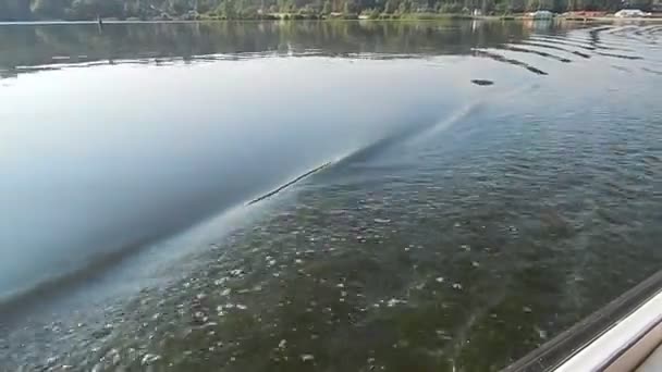 Rzhyshshiv Ukraine Juli 2017 Natur Und Menschen Auf Den Straßen — Stockvideo