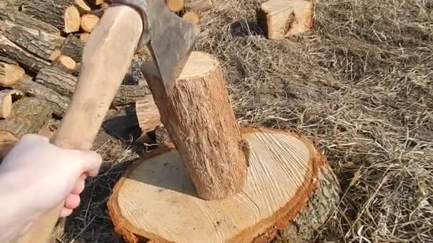 Cutting Wood Logs Country — Stock Video