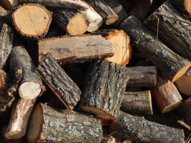 Kesme ahşap ülkede günlüğe kaydeder.