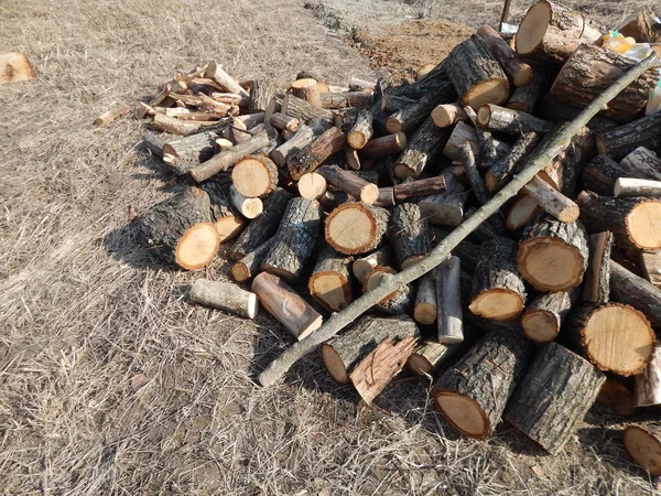 Cortar troncos de madera en el país —  Fotos de Stock