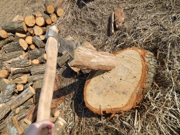 Taglio tronchi di legno nel paese — Foto Stock