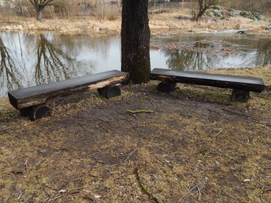 Parkta dinlenmek için pist ve banklar