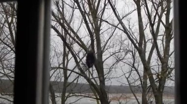 Eski kalenin penceresinden manzara