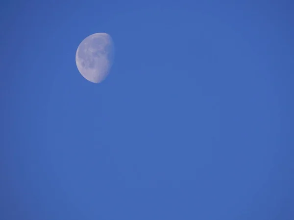 Luna temprano en la mañana en el campo —  Fotos de Stock