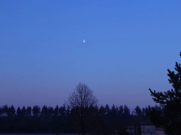 Luna temprano en la mañana en el campo — Foto de Stock