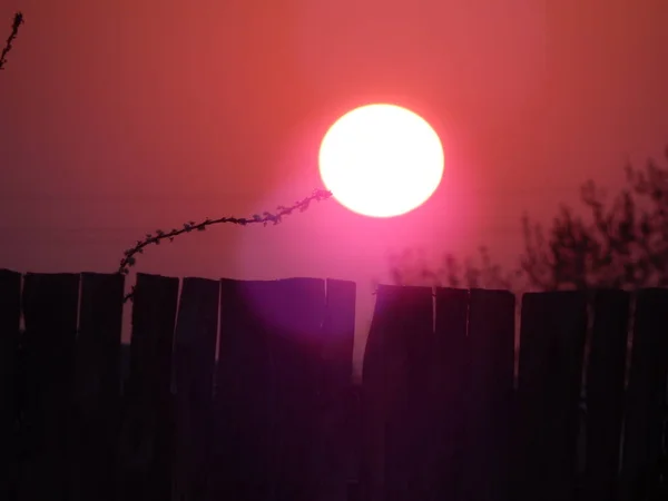 Le soleil se lève à l'aube sur le champ — Photo