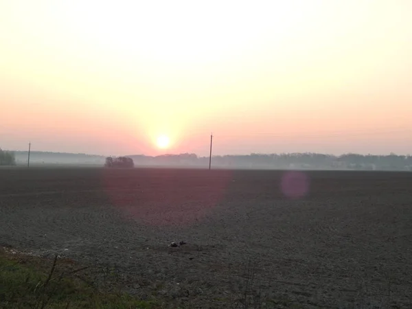 Солнце встает на рассвете на поле — стоковое фото