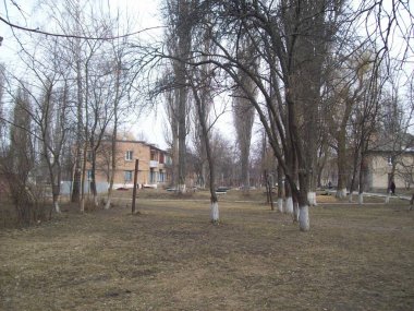 Vyshneve, Ukrayna - 2 Nisan 2011. Şehirde sokaklarda insanlar