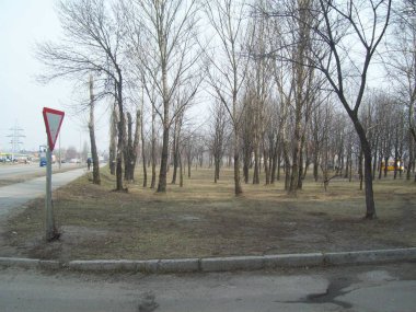 Vyshneve, Ukrayna - 2 Nisan 2011. Şehirde sokaklarda insanlar