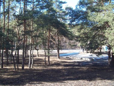 Irpin, Ukrayna - 27 Mart 2011. Şehirde sokaklarda insanlar