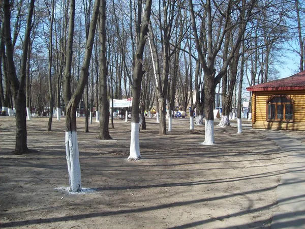 BORYSPIL, UCRANIA - 3 DE ABRIL DE 2011. La gente en las calles de la ciudad — Foto de Stock