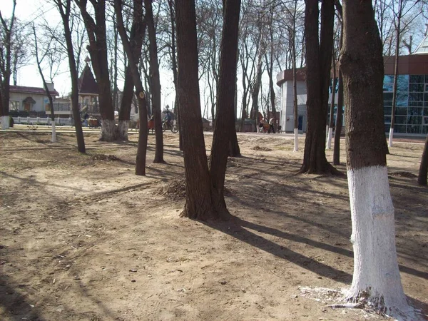 BORYSPIL, UCRANIA - 3 DE ABRIL DE 2011. La gente en las calles de la ciudad — Foto de Stock