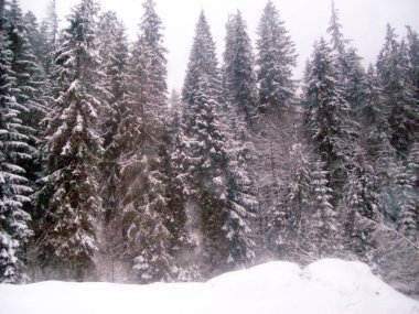 Road, Polonya - 5 Ocak 2012: Mimari, simgesel yapılar ve arazi