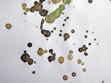 Suluboya çizimler beyaz kağıt arka plan üzerine çizilmiş boyalar