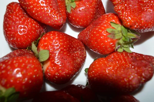 Fraises de printemps de grande taille sur une assiette — Photo