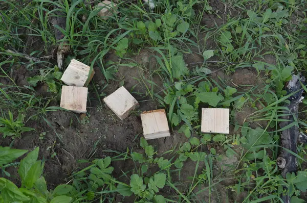 Construction d'un bâtiment à ossature en bois — Photo