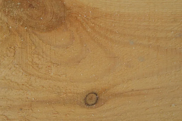 Текстура легкой древесины крупным планом с лесопилки — стоковое фото