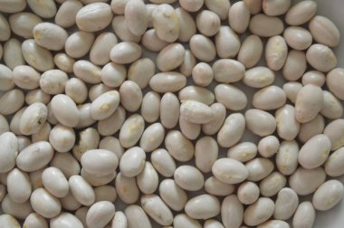 Gıda için bitkilerin çeşitli çeşitlerinin fasulye doku