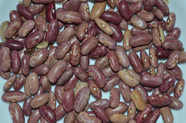 Gıda için bitkilerin çeşitli çeşitlerinin fasulye doku